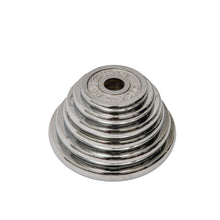 Load image into Gallery viewer, Olympic Silver Cast Iron Weight Plates 2.5/5/7.5/10/15/20kg - Oli Joy Sports