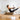 Commercial Pilates