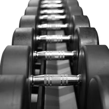 Load image into Gallery viewer, OLI JOY 2-Layer Dumbbell Rack for 10 Pairs Weight Storage
