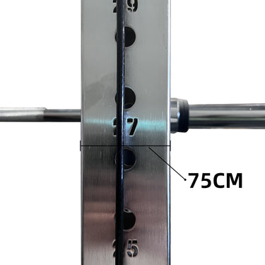 OLI JOY Premium Smith Machine with Cable Crossover