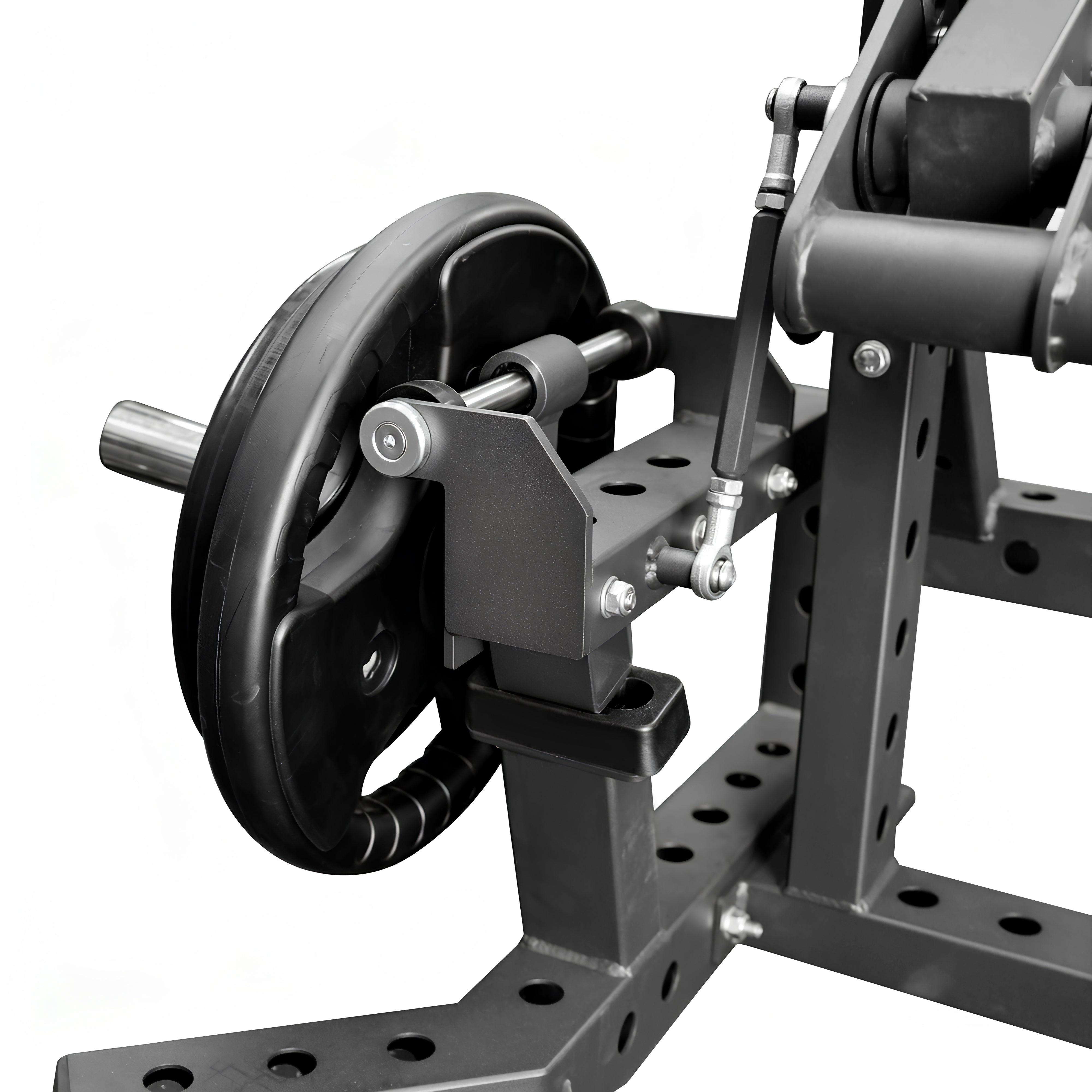 OLI JOY Premium Plate-Loaded Leg Curl & Extension