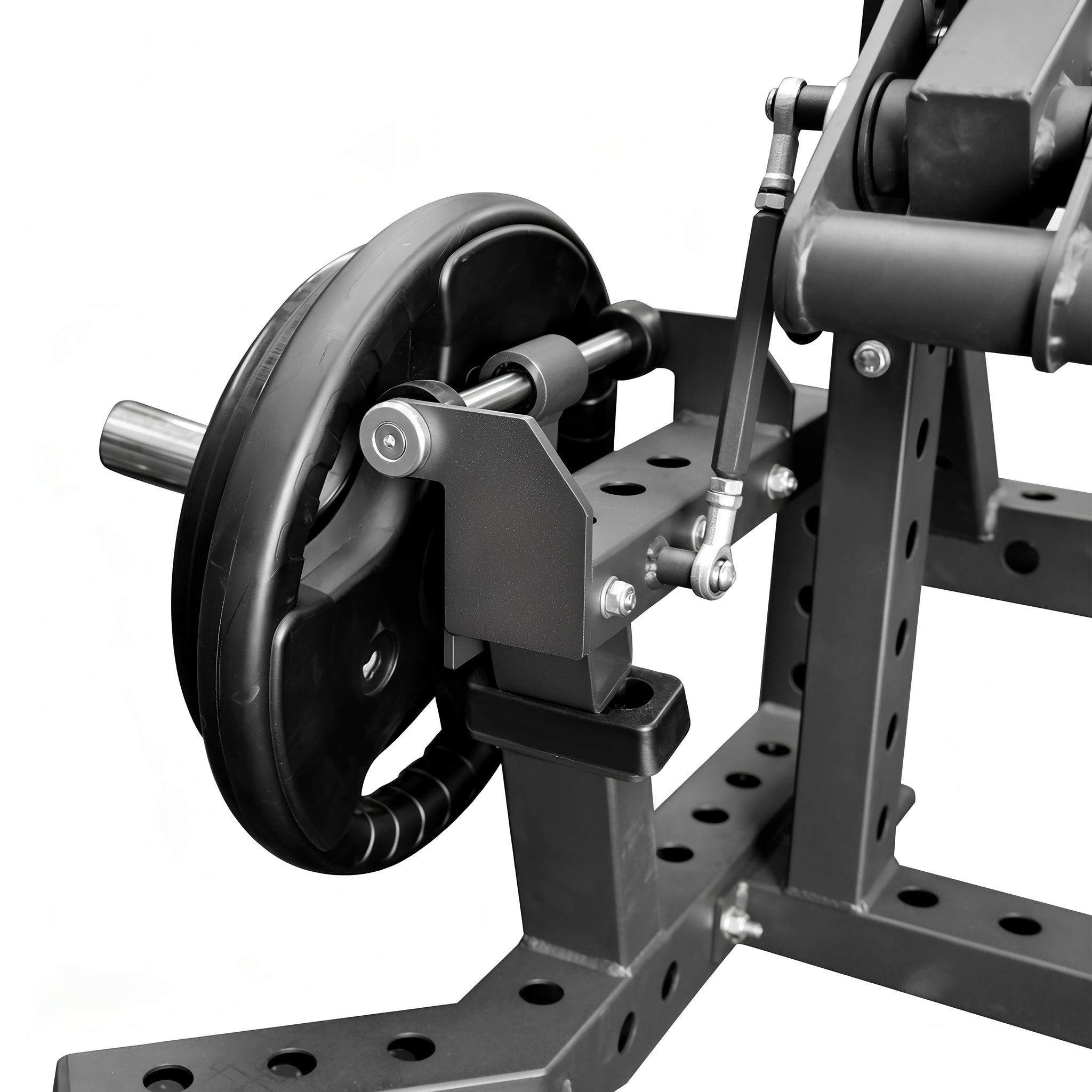 OLI JOY Premium Plate-Loaded Leg Curl & Extension