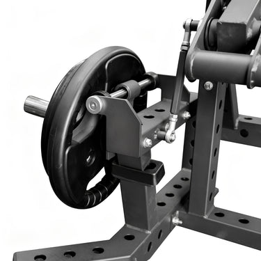 OLI JOY Premium Plate-Loaded Leg Curl & Extension