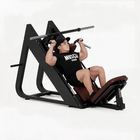 Oli Joy ProPress 45 — Commercial 45° Leg Press & Hack Squat (2-in-1)