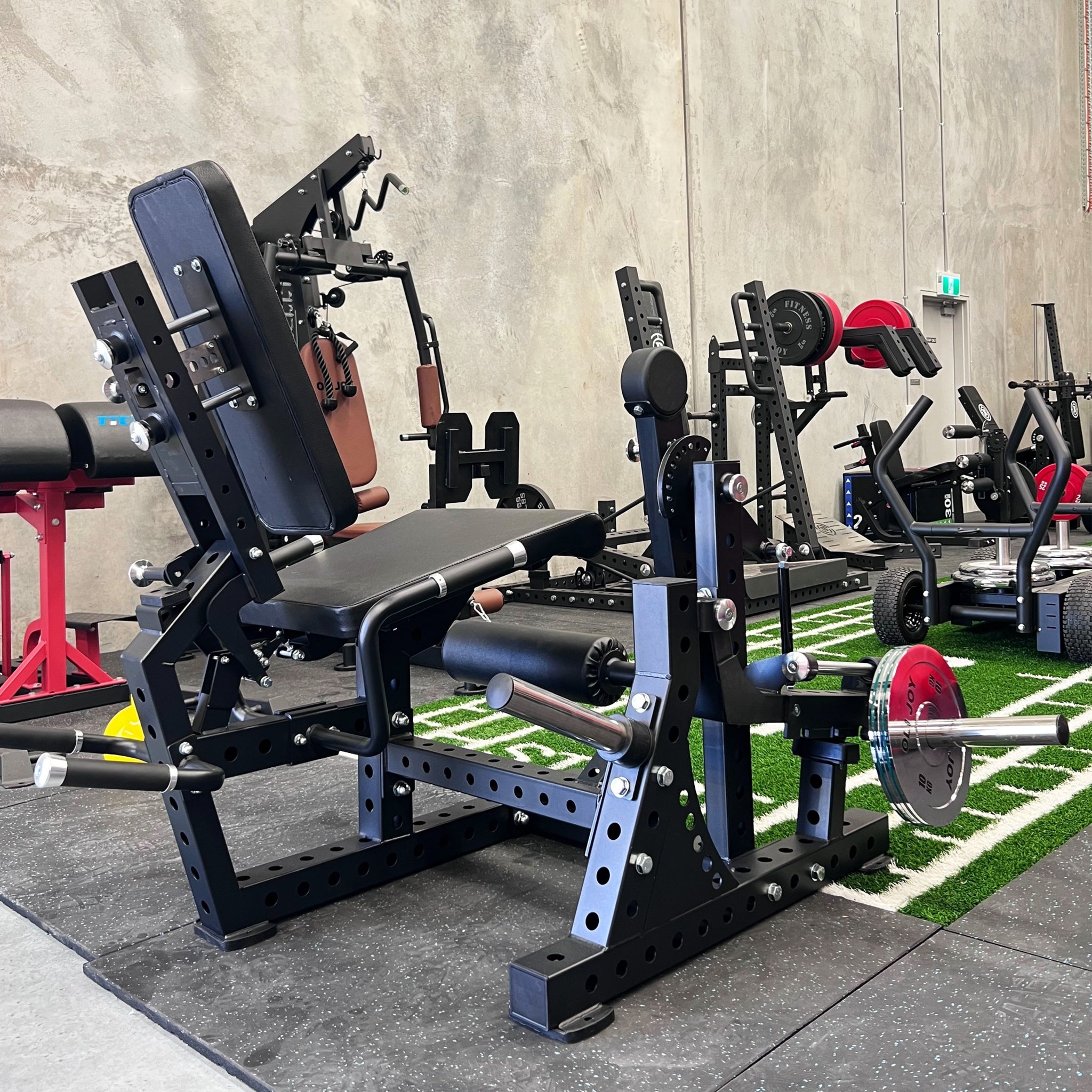 Pro Strength Leg Curl & Extension Machine