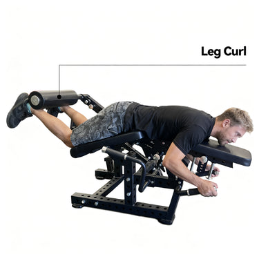 OLI JOY Premium Adjustable Plate Loaded Leg Curl & Extension Machine