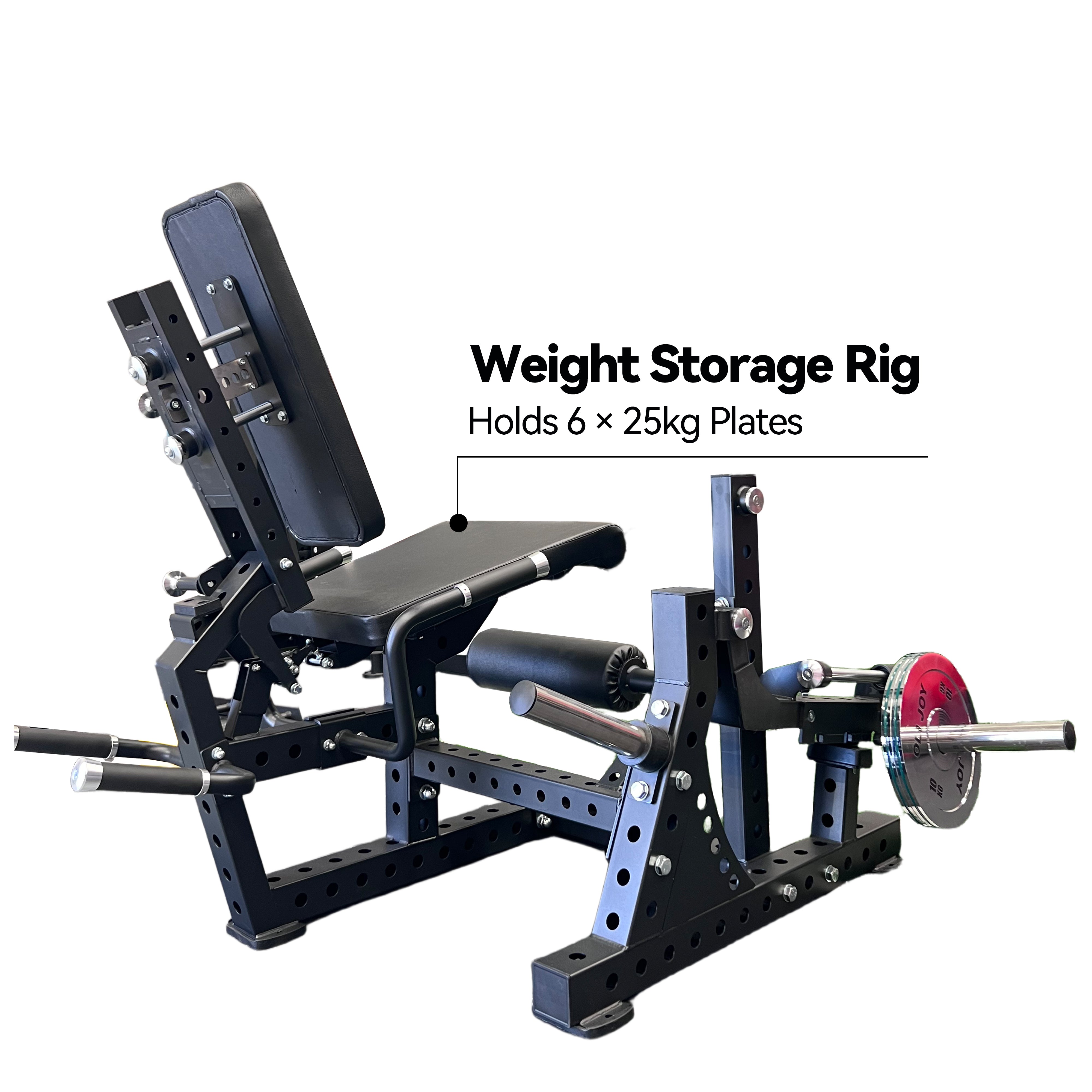 Pro Strength Leg Curl & Extension Machine
