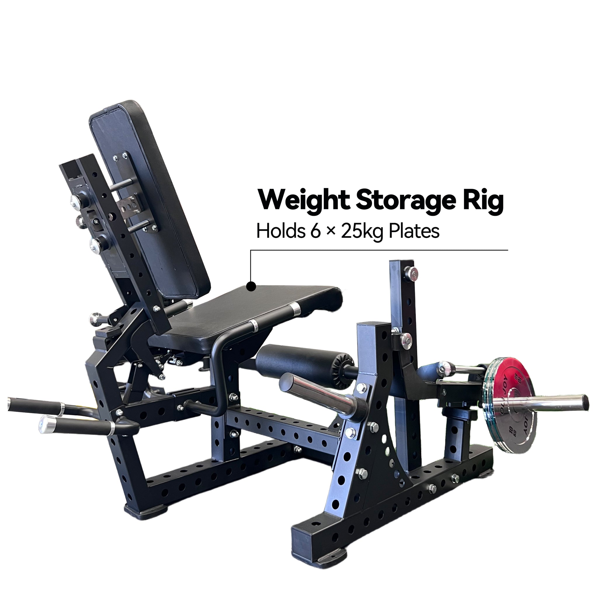 Pro Strength Leg Curl & Extension Machine
