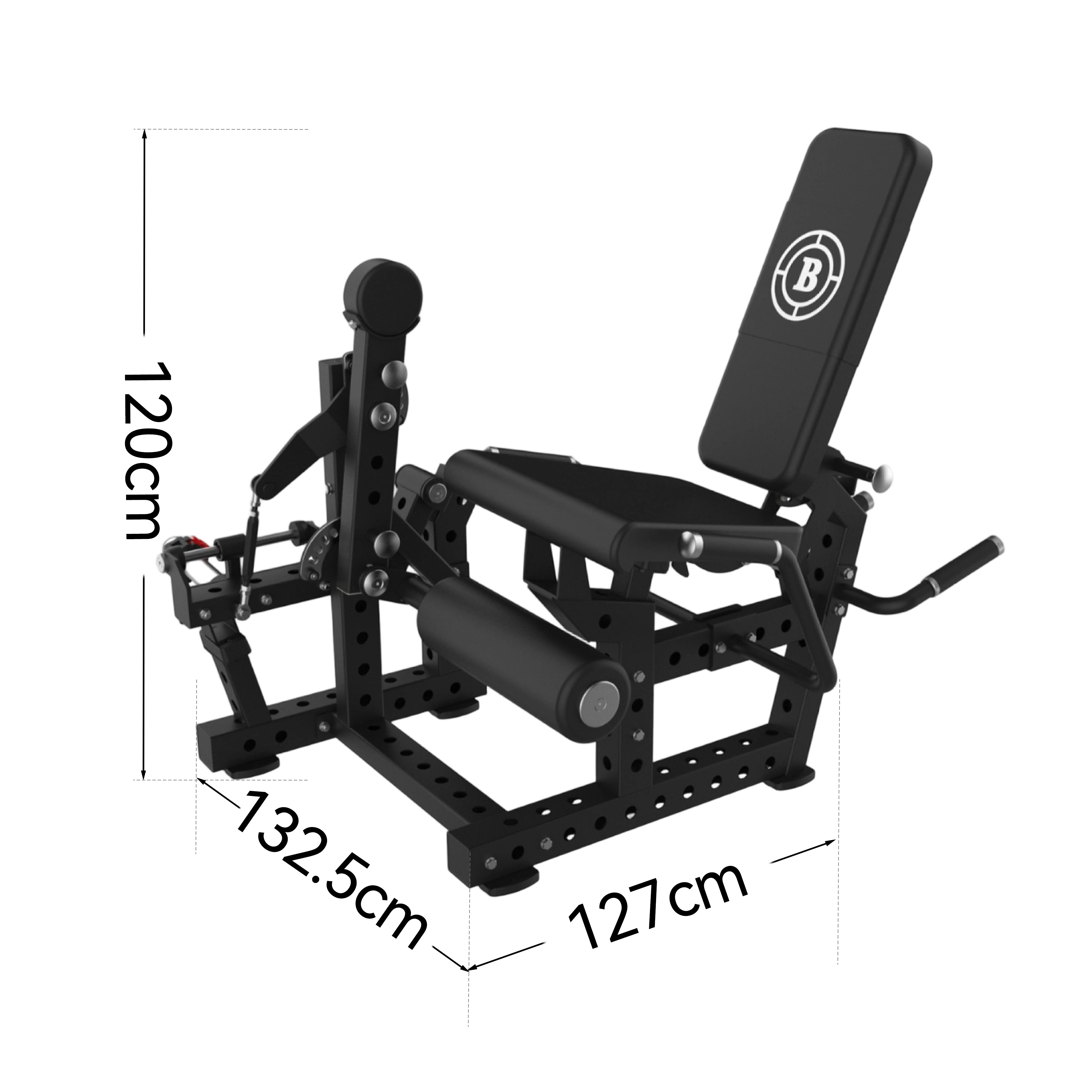 Pro Strength Leg Curl & Extension Machine