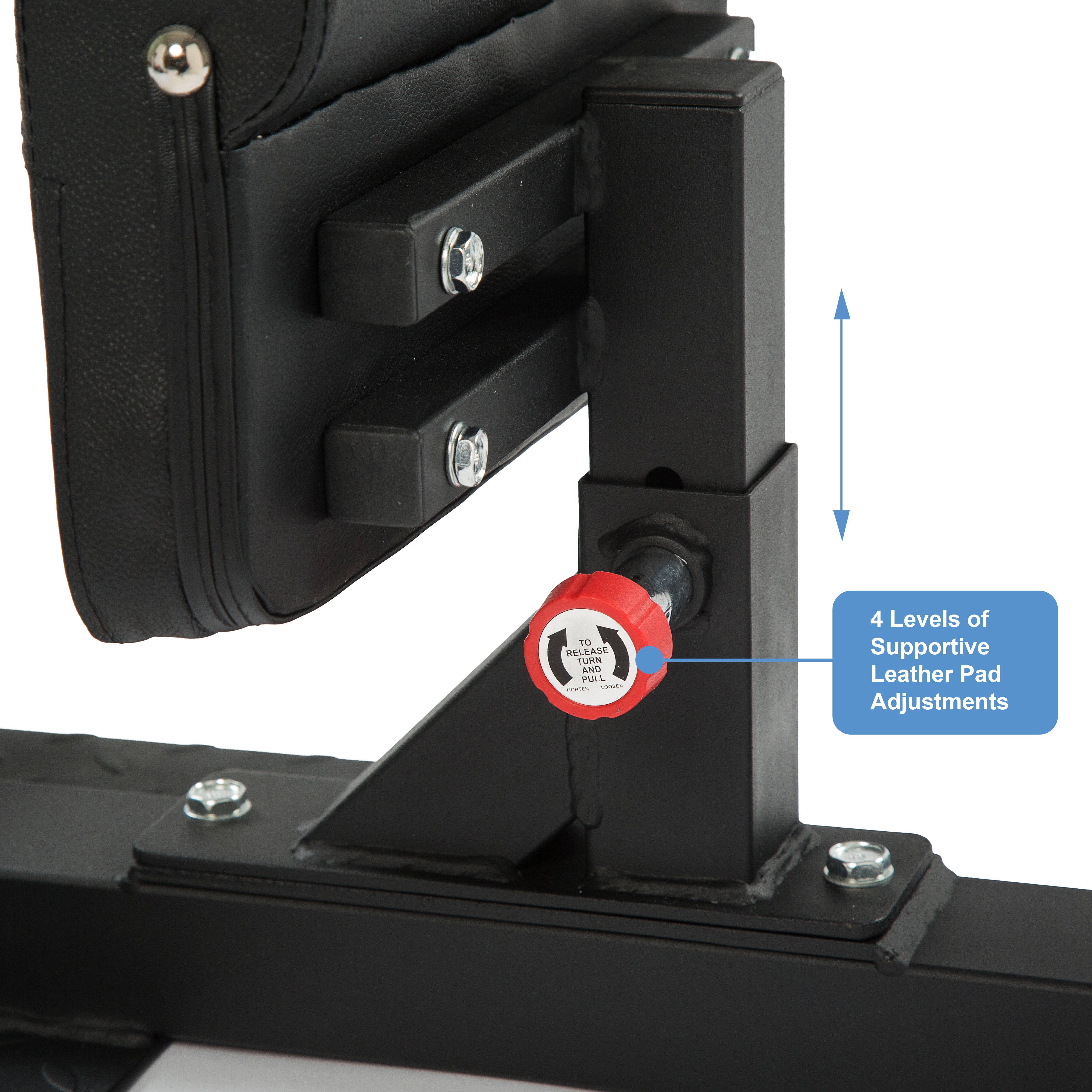 Adjustable Sissy Squat Machine - Oli Joy Sports 