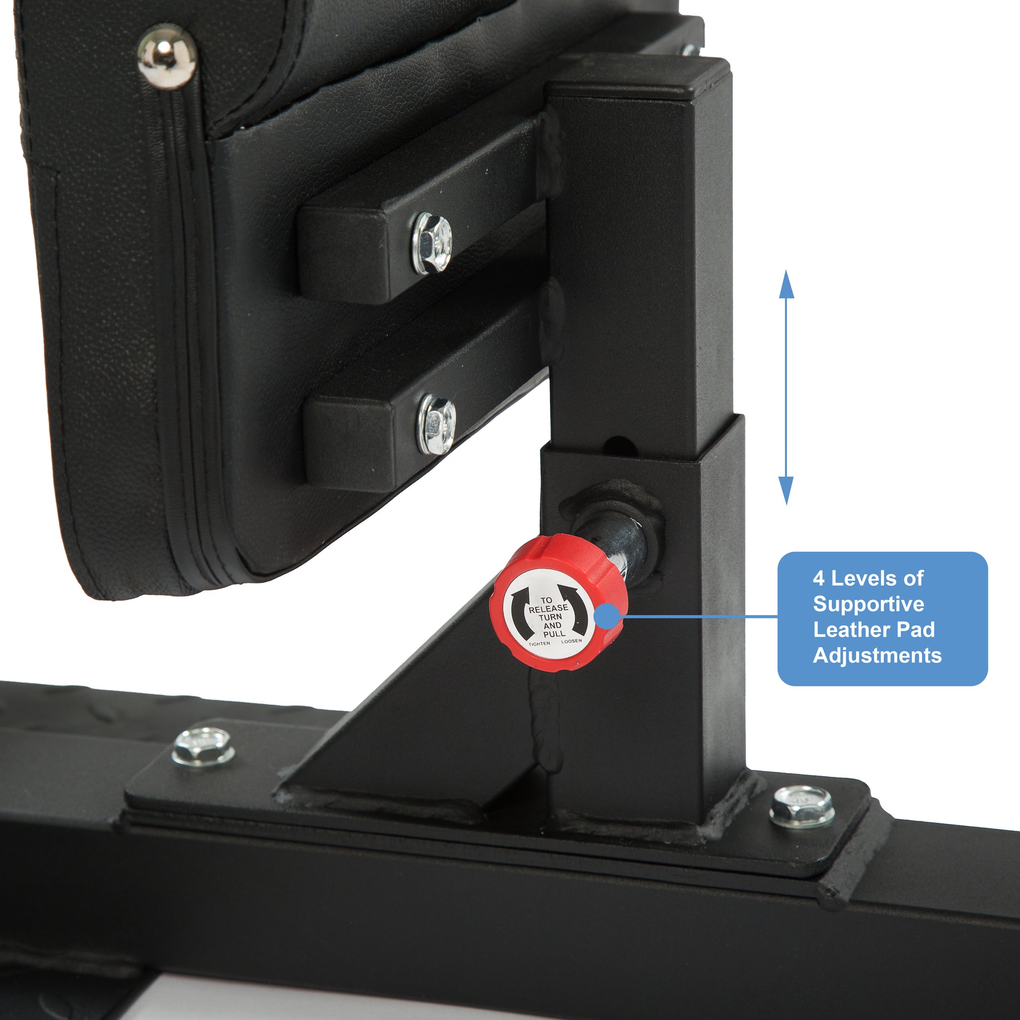 Adjustable Sissy Squat Machine - Oli Joy Sports 