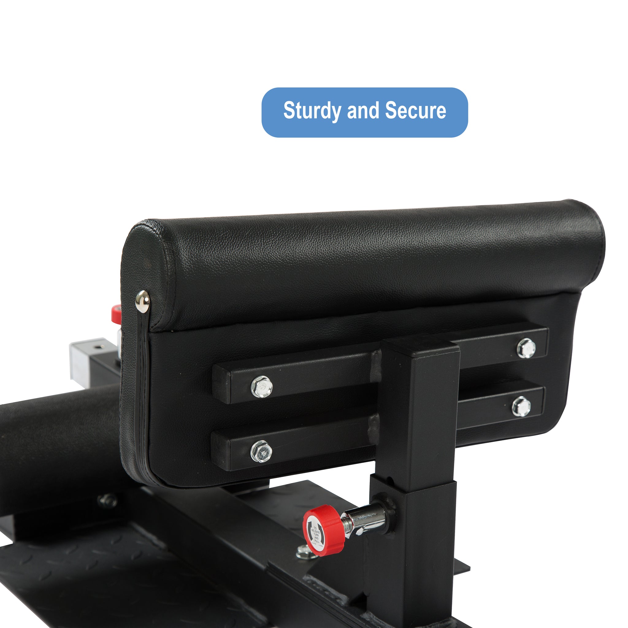 Adjustable Sissy Squat Machine - Oli Joy Sports 