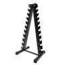 Steel Vertical 10 Pairs Dumbbell Rack - Oli Joy Sports 