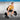 Premium Grade 140CM Olympic Hex Shrug Trap Bar - Oli Joy Sports 