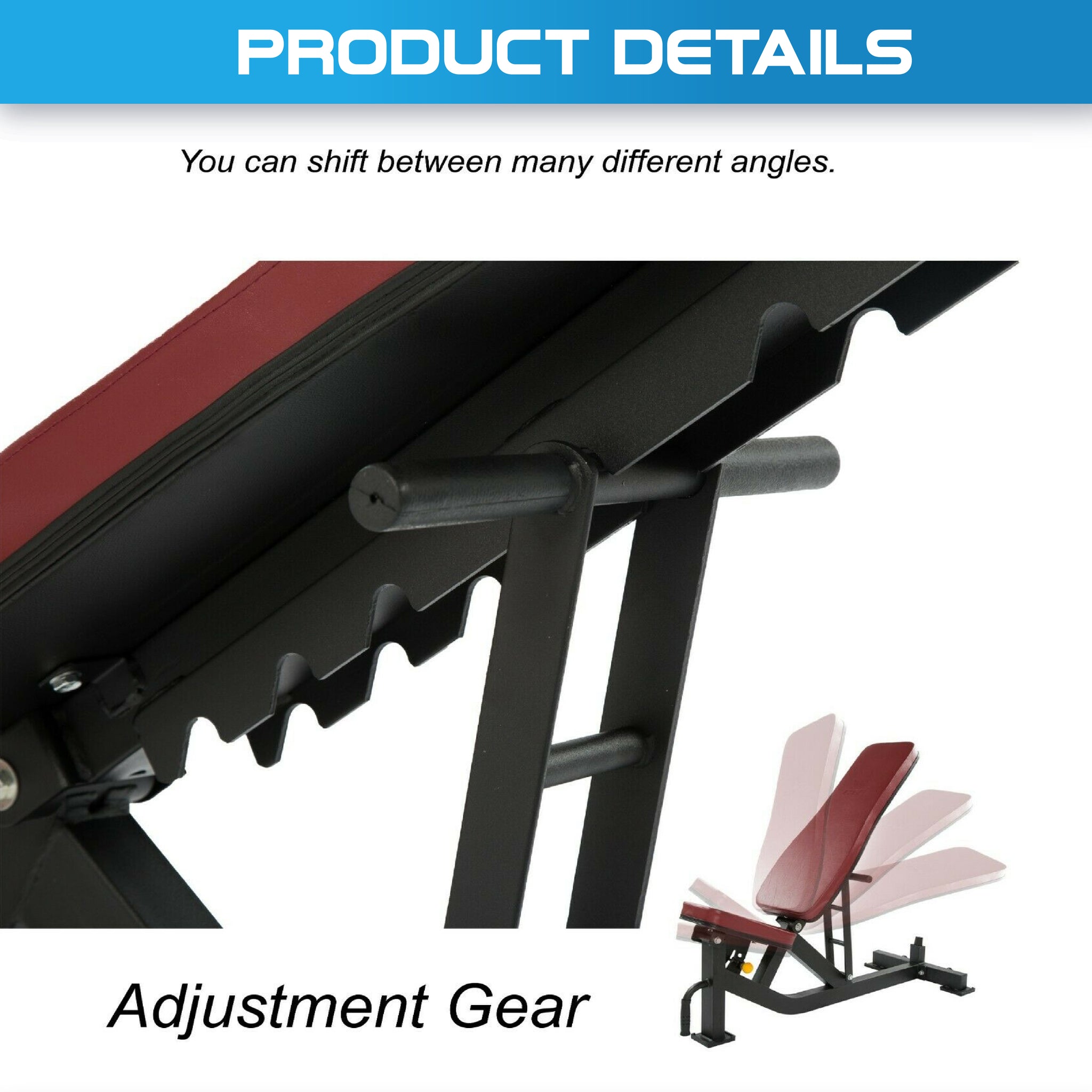 Commercial Adjustable Incline, Decline & Flat Bench - Oli Joy Sports 