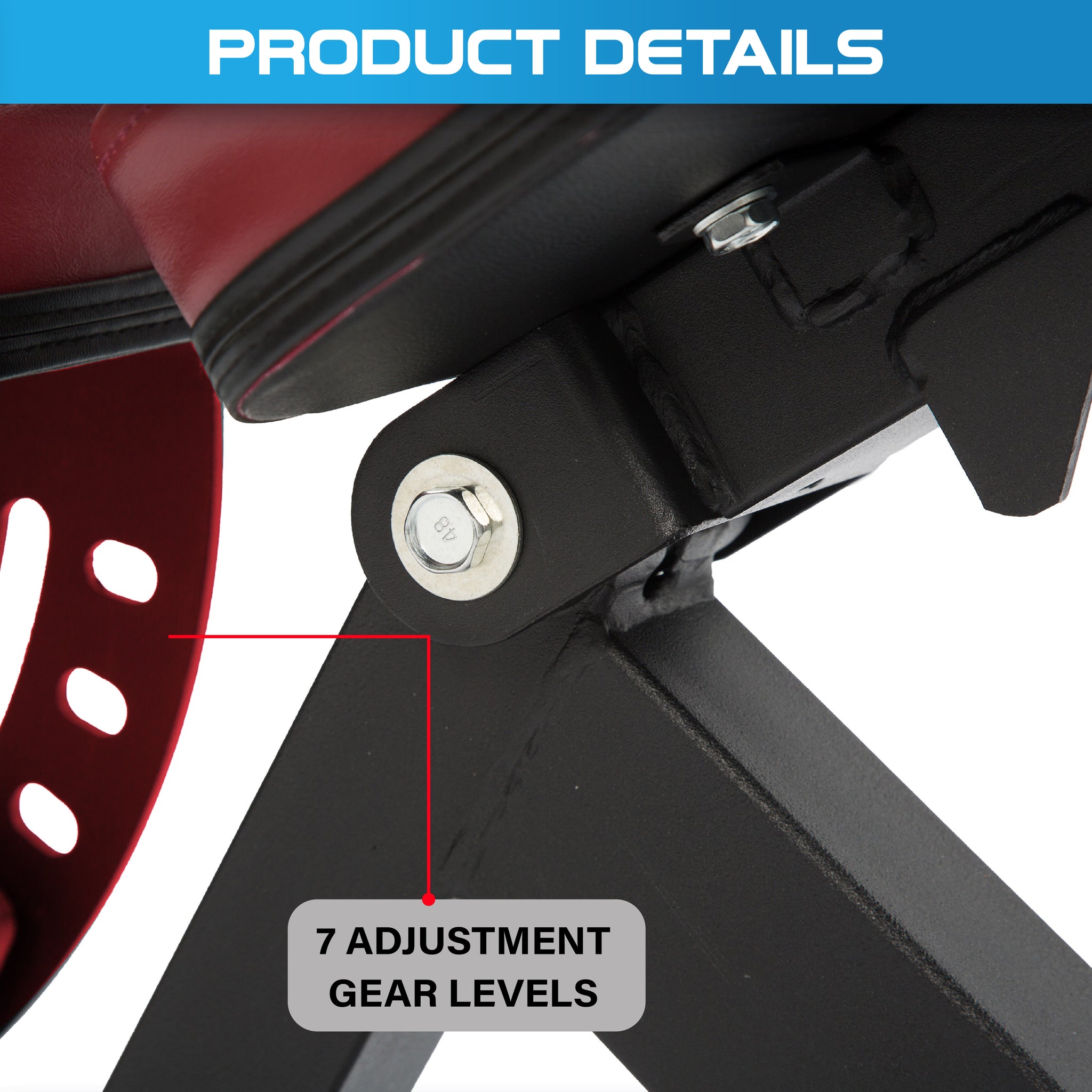 Commercial Adjustable Incline, Decline & Flat Bench - Oli Joy Sports 