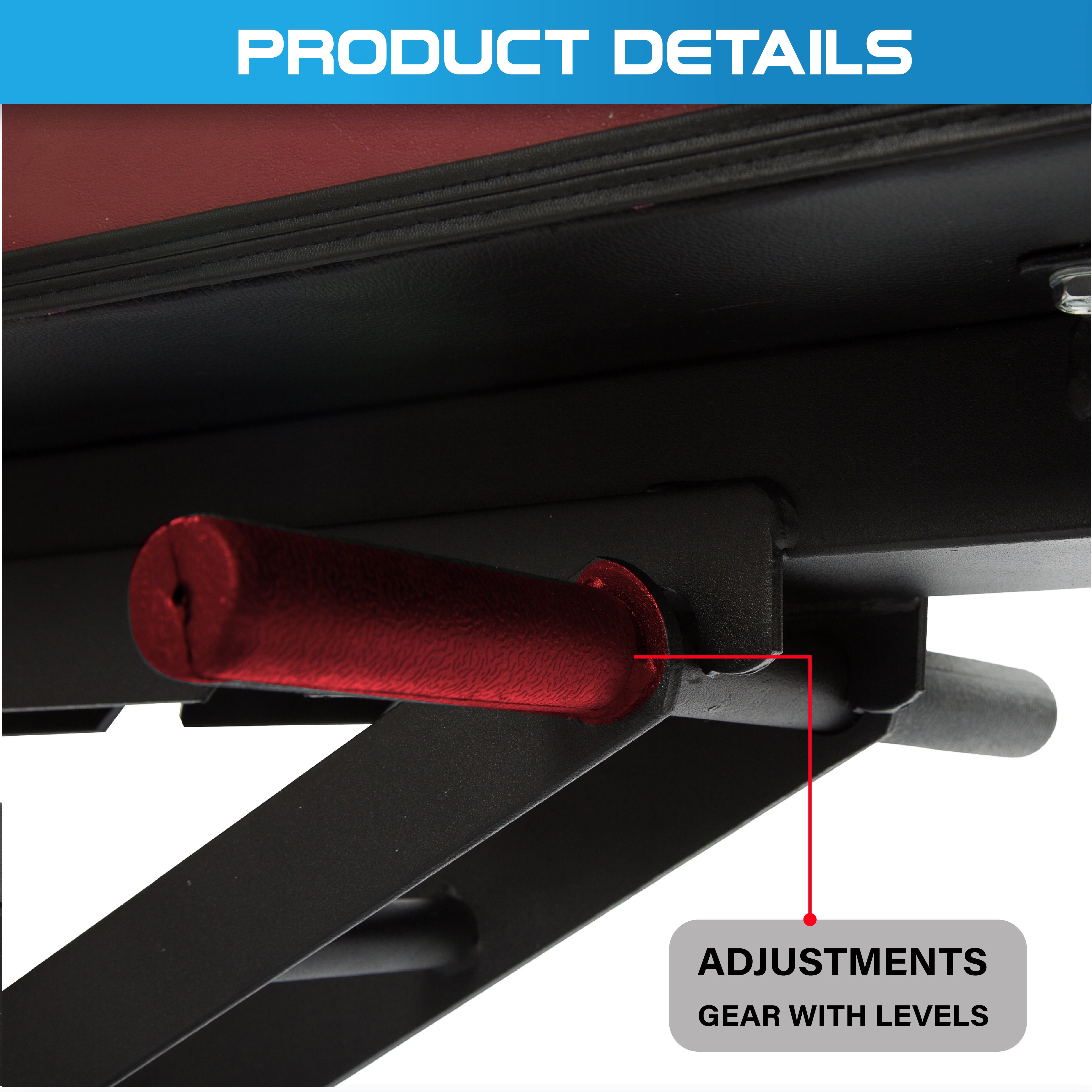 Commercial Adjustable Incline, Decline & Flat Bench - Oli Joy Sports 