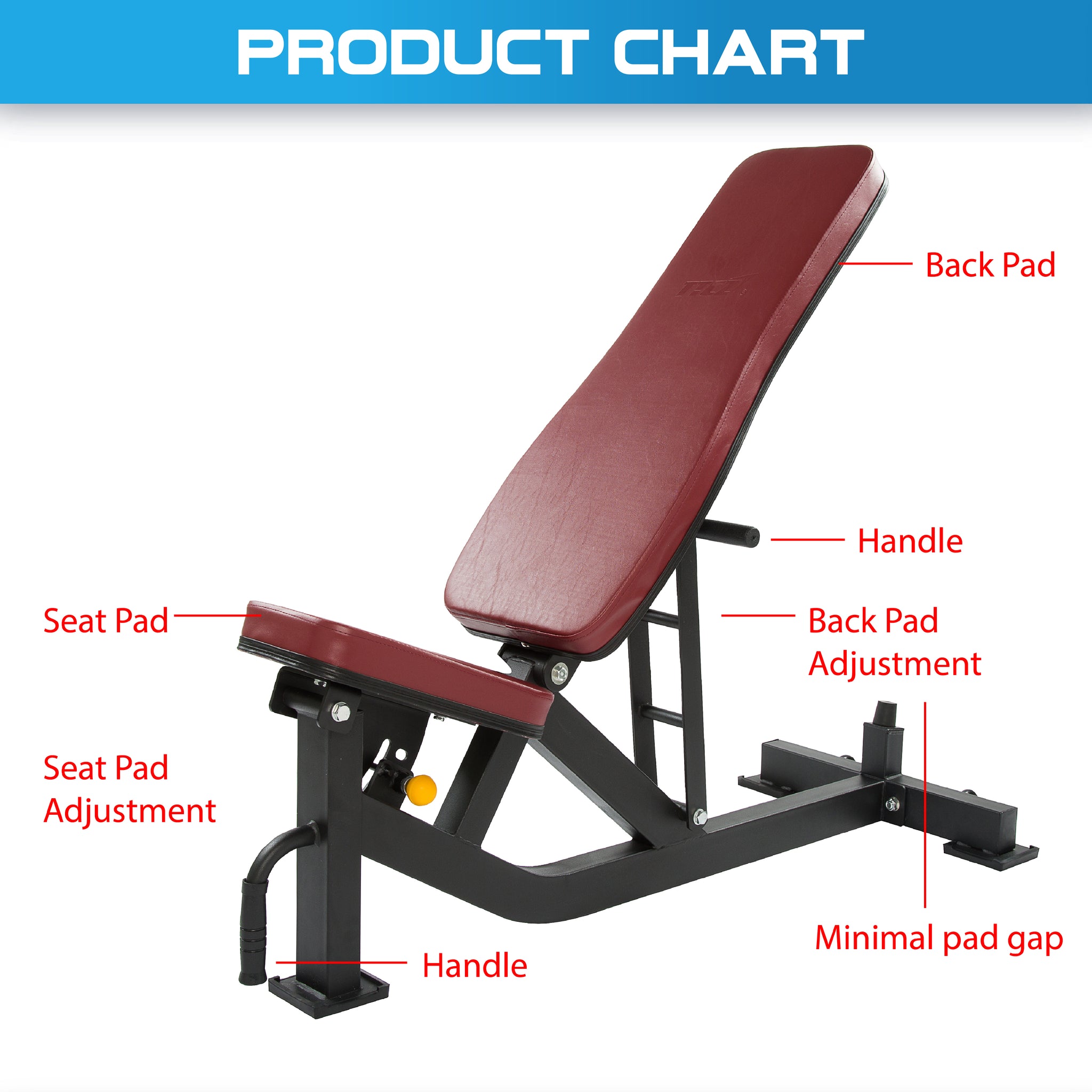 Commercial Adjustable Incline, Decline & Flat Bench - Oli Joy Sports 