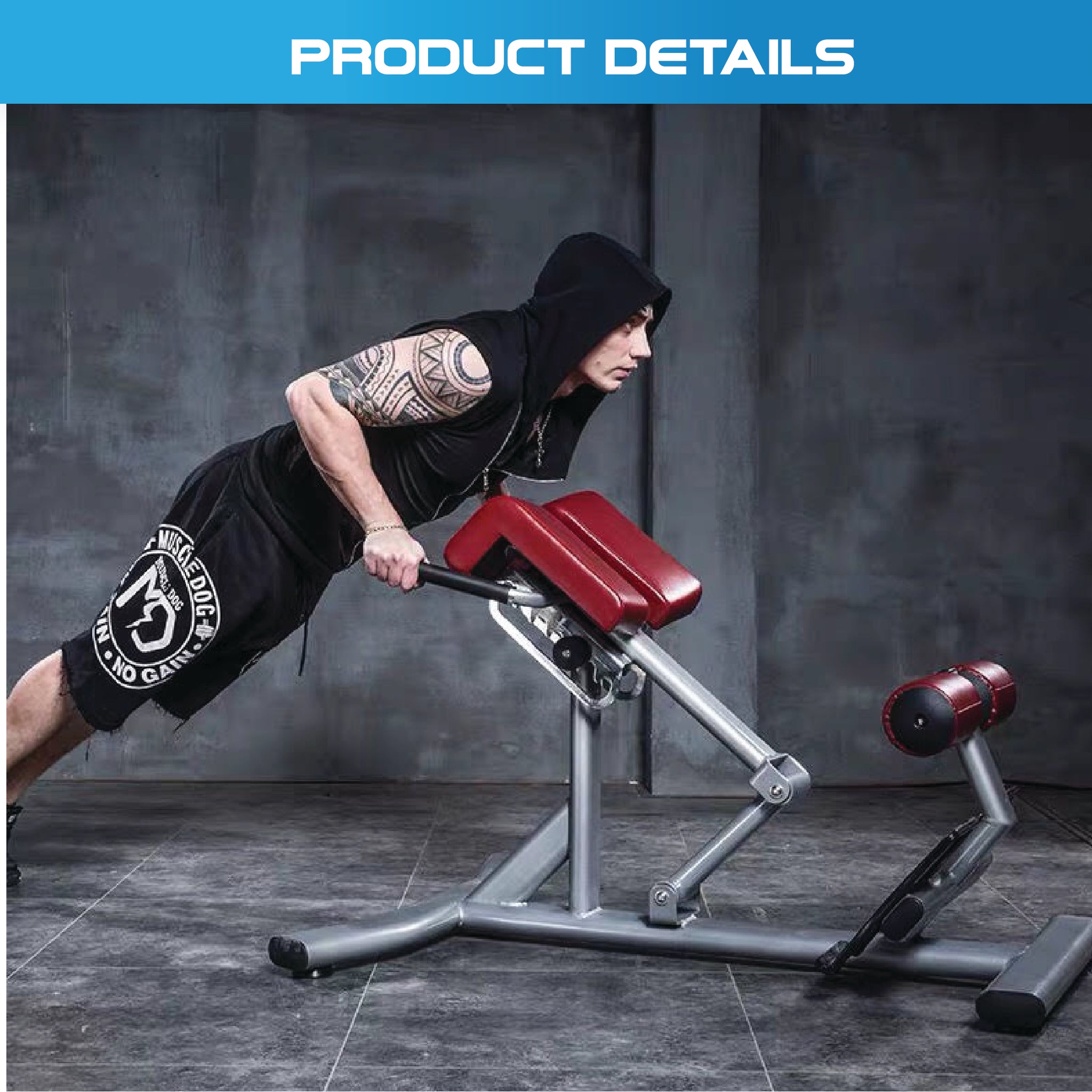 Hyper Extension Roman Chair Home Gym Abdominal Muscle Lower Back - Oli Joy Sports 