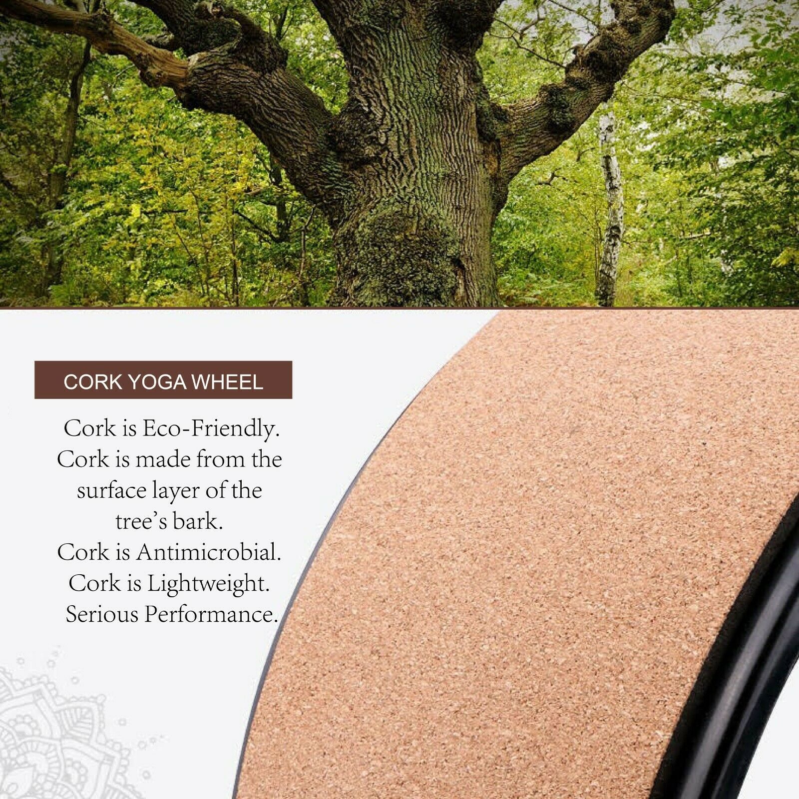 Cork Yoga Pilates Wheel - Oli Joy Sports 